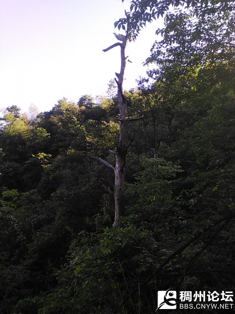 IMG_20150513_080224.jpg