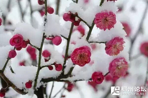 201712282169181514441312269241.jpg