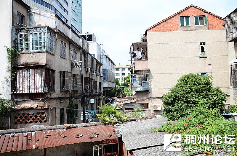 新闻现场 304.jpg