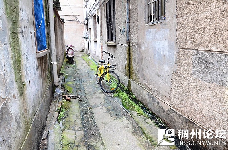 新闻现场 307.jpg