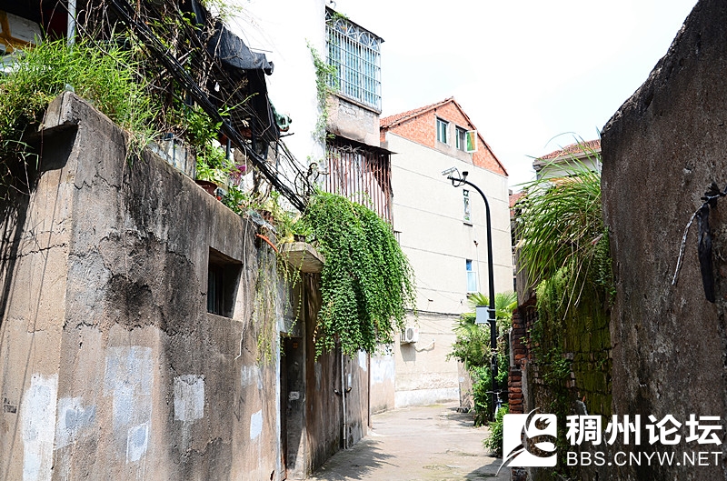 新闻现场 309.jpg