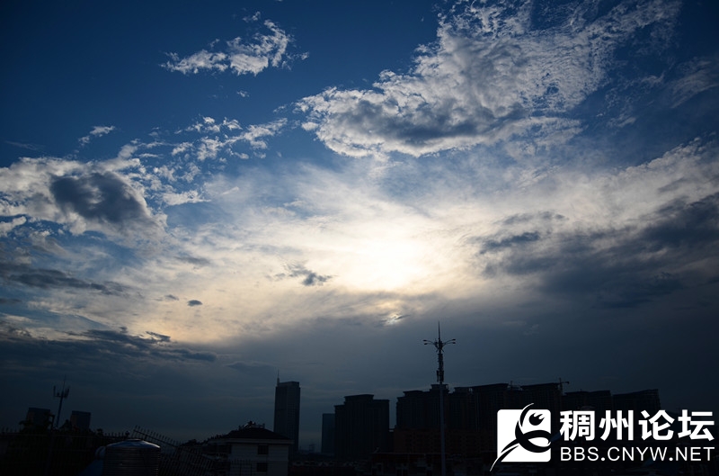 羰 201.jpg