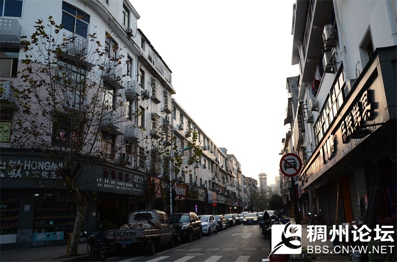 一星微光 007_看图王.jpg