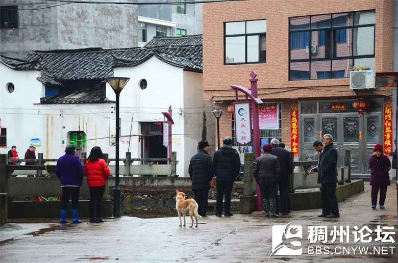 微光走村庄 008_看图王_看图王.jpg