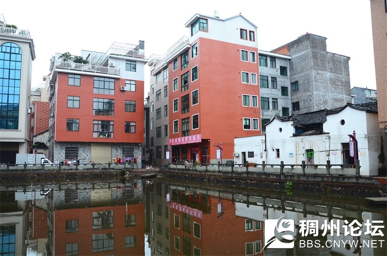 微光走村庄 007_看图王_看图王.jpg