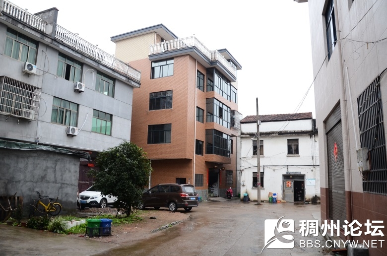 微光走村庄 013_看图王.jpg