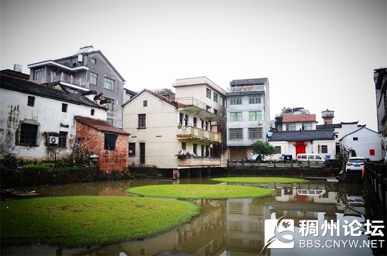 微光走村庄 011_看图王_看图王.jpg