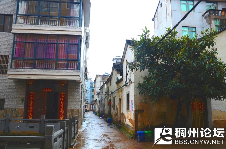 微光走村庄 015_看图王_看图王.jpg