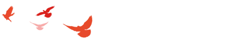QQͼ20190621144120.png