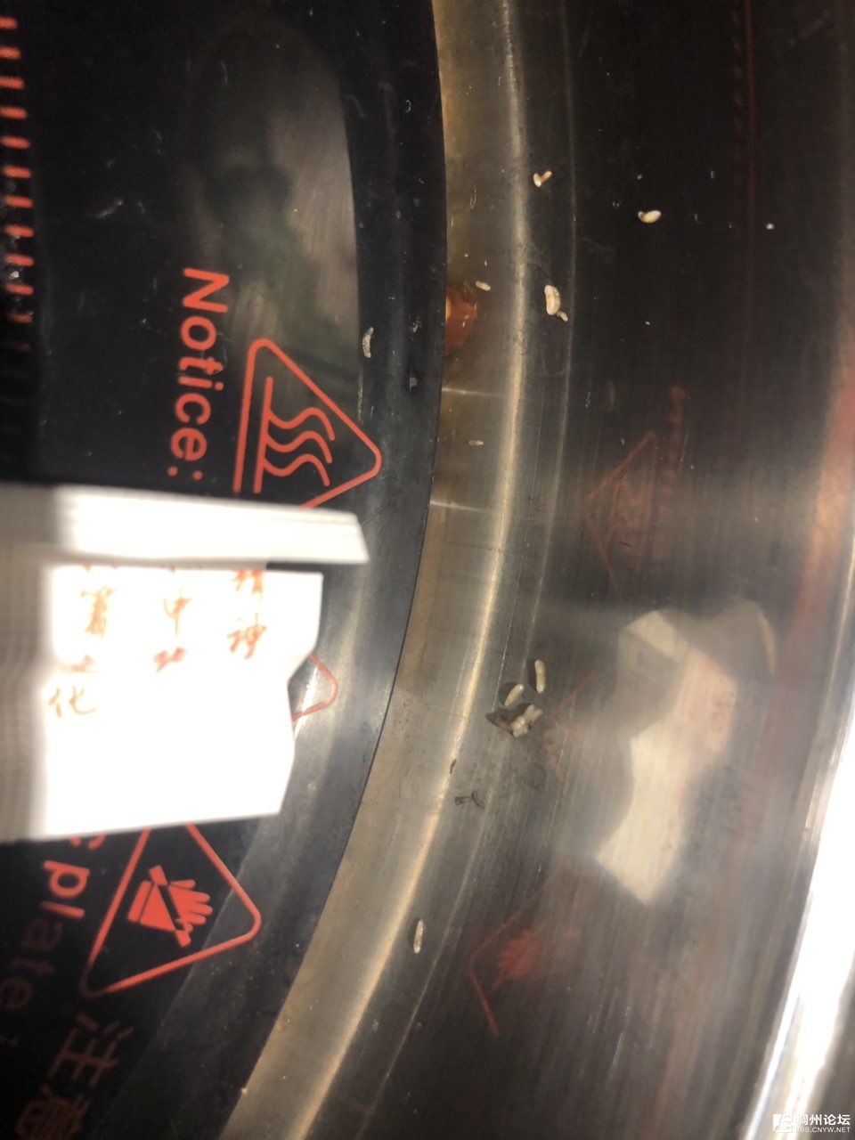 201907128779121562938607662524.jpg