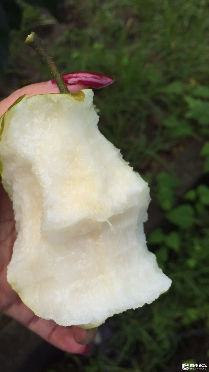 201907187049391563434686070995.jpg