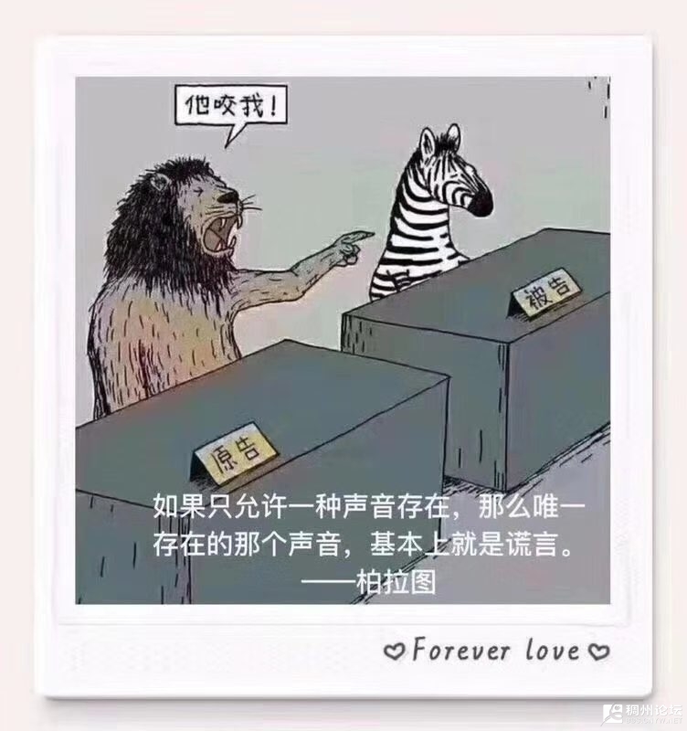 201908167015681565947004532364.jpg