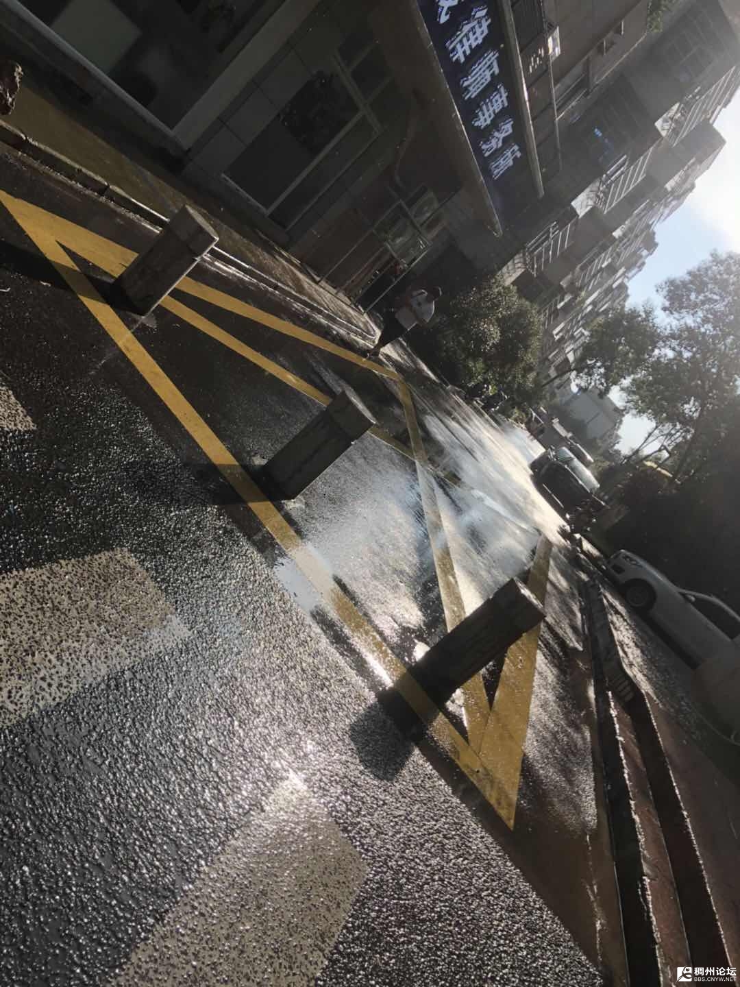 02.jpg