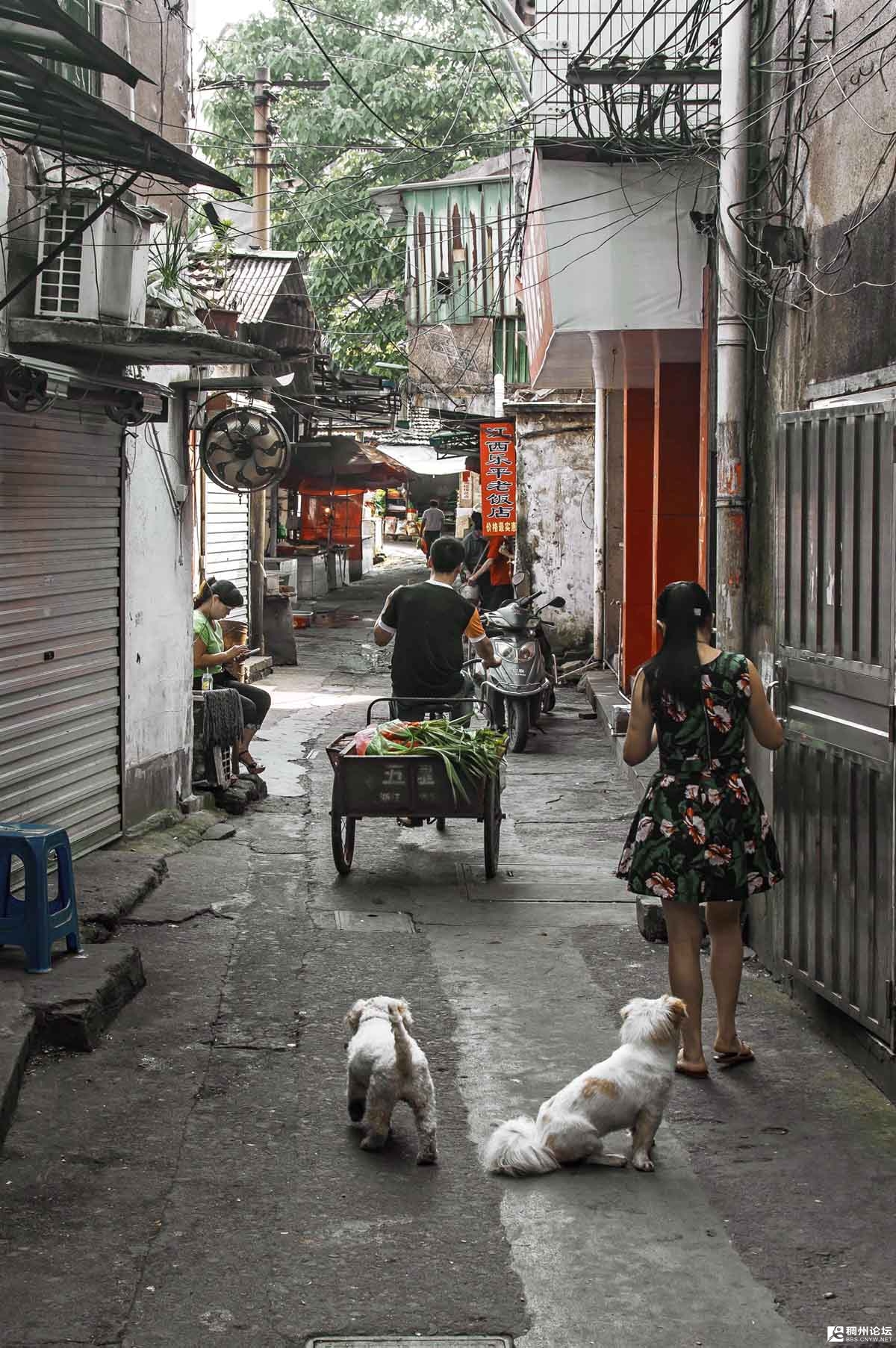 Yiwu-Zhejiang-Province-13.jpg