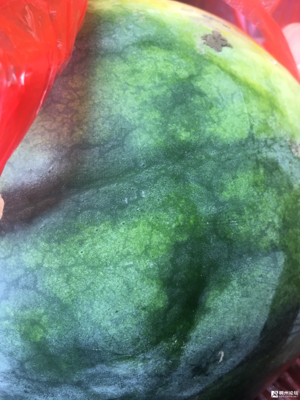 FuL0AquTAaltIV-iPSbaAo2P98-a.jpg