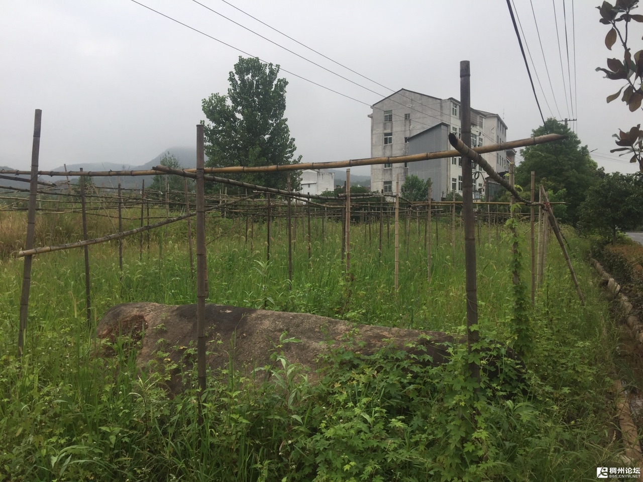 front1_0_Fo3uRCSBOu6EcoLpaLErL_x-kNid.1602416408.jpg