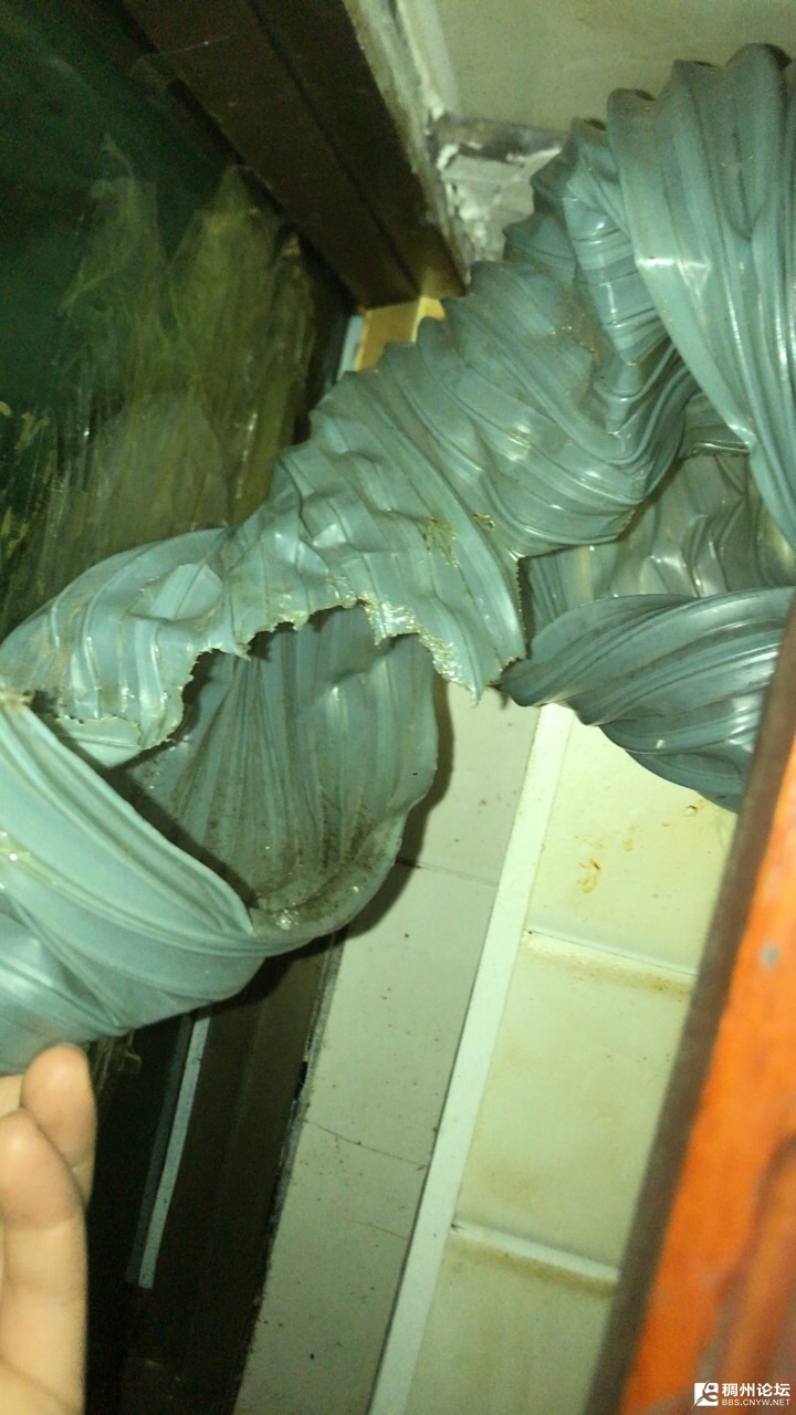 front1_0_FhLmWBKPaMheU64oIy1iybrn7g98.1603623054.jpg