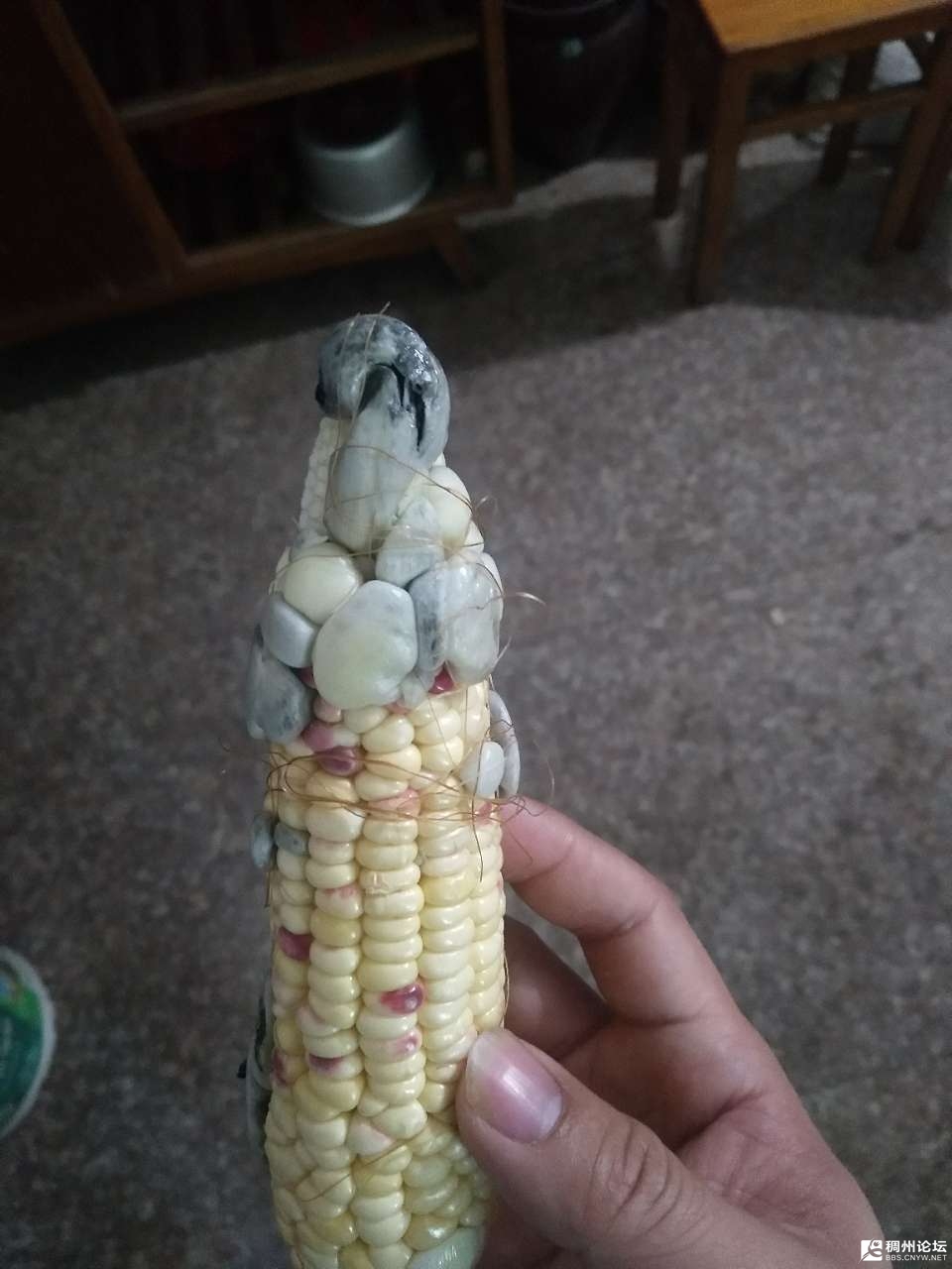 20201114_466584_1605315633417.jpg