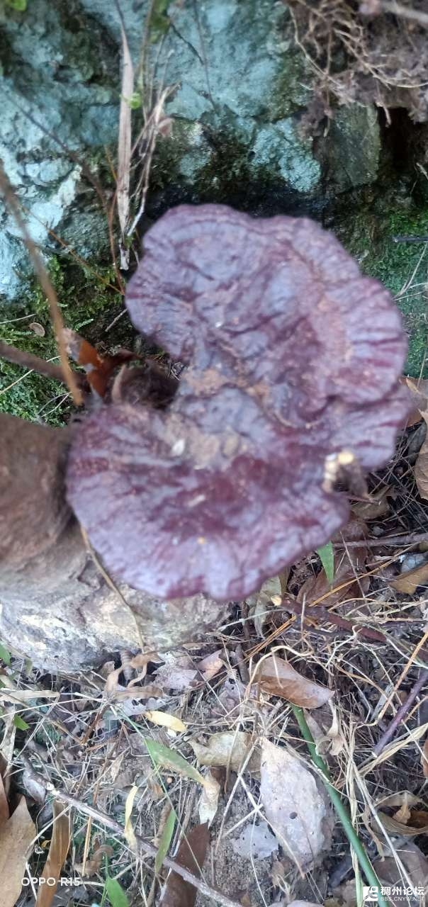 20201118_686022_1605685025891.jpg