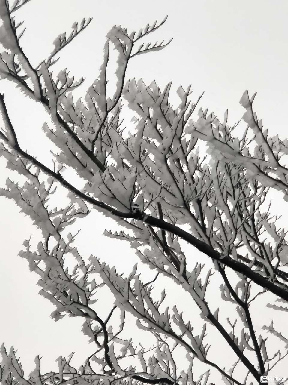 20210108_928449_1610053935950.jpg