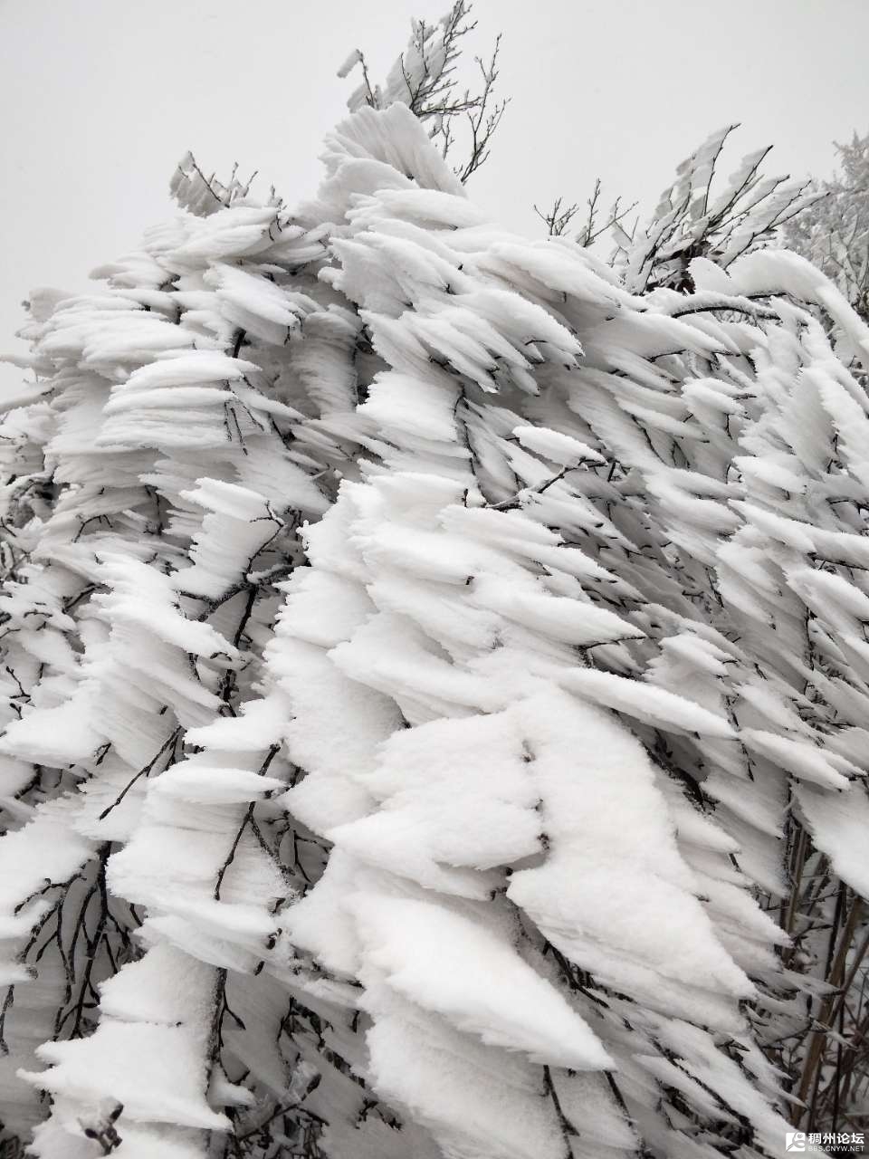 20210108_928449_1610053937624.jpg