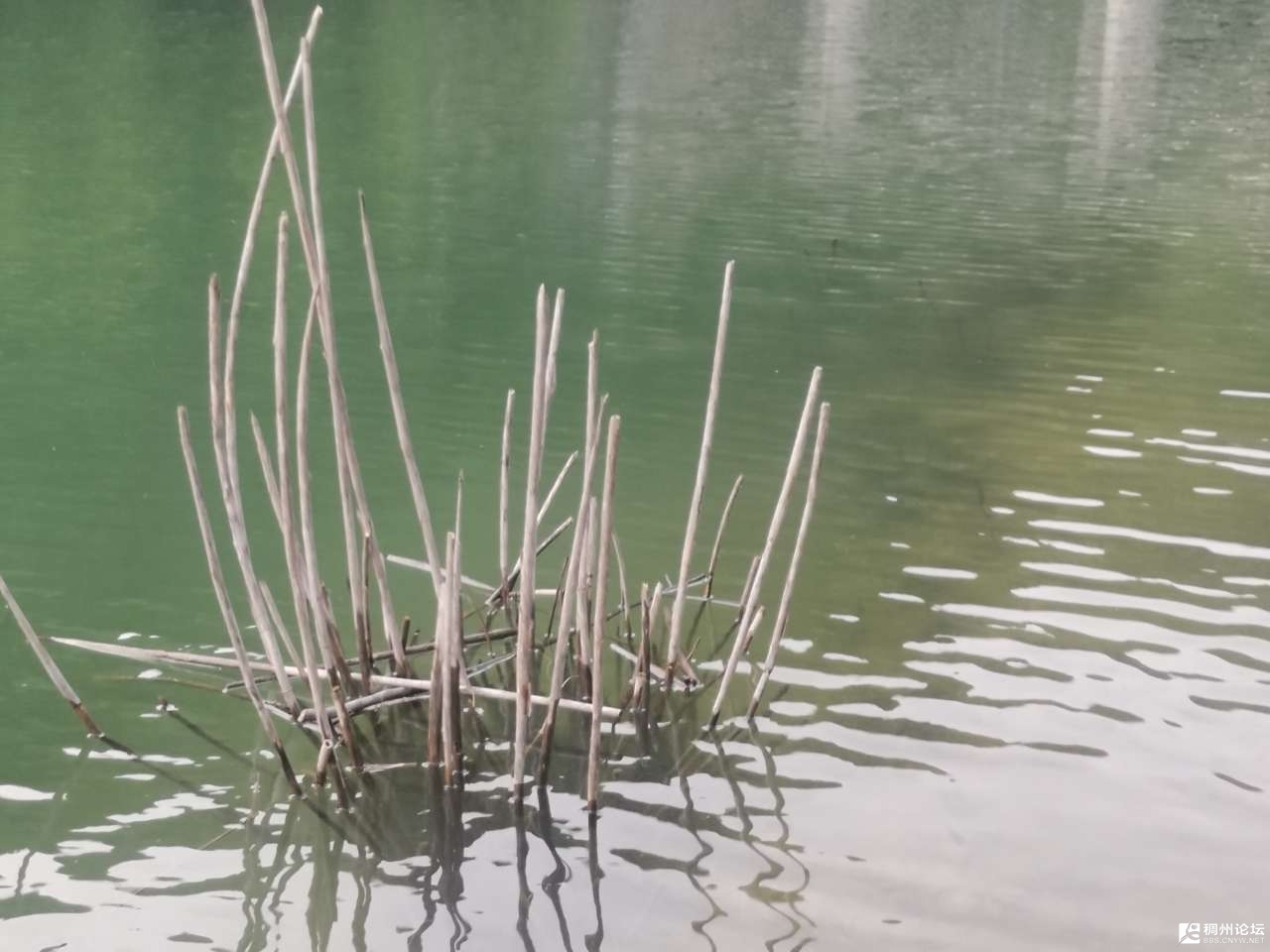 20210502_826298_1619963177595.jpg