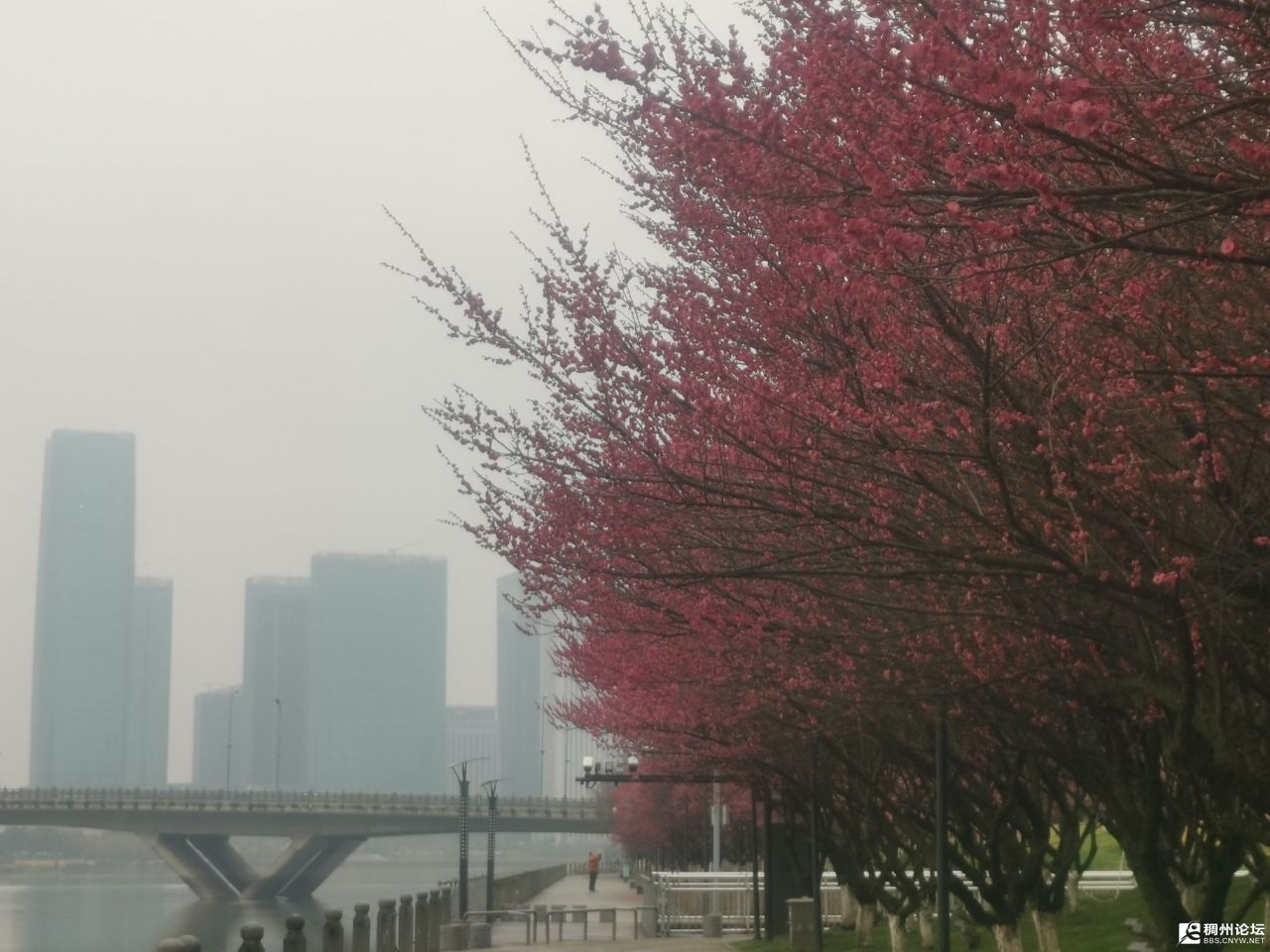 20230204195629front2_0_826298_FoCUYHKqVGmc56Li3G4Hv16ZtJ1w.jpg