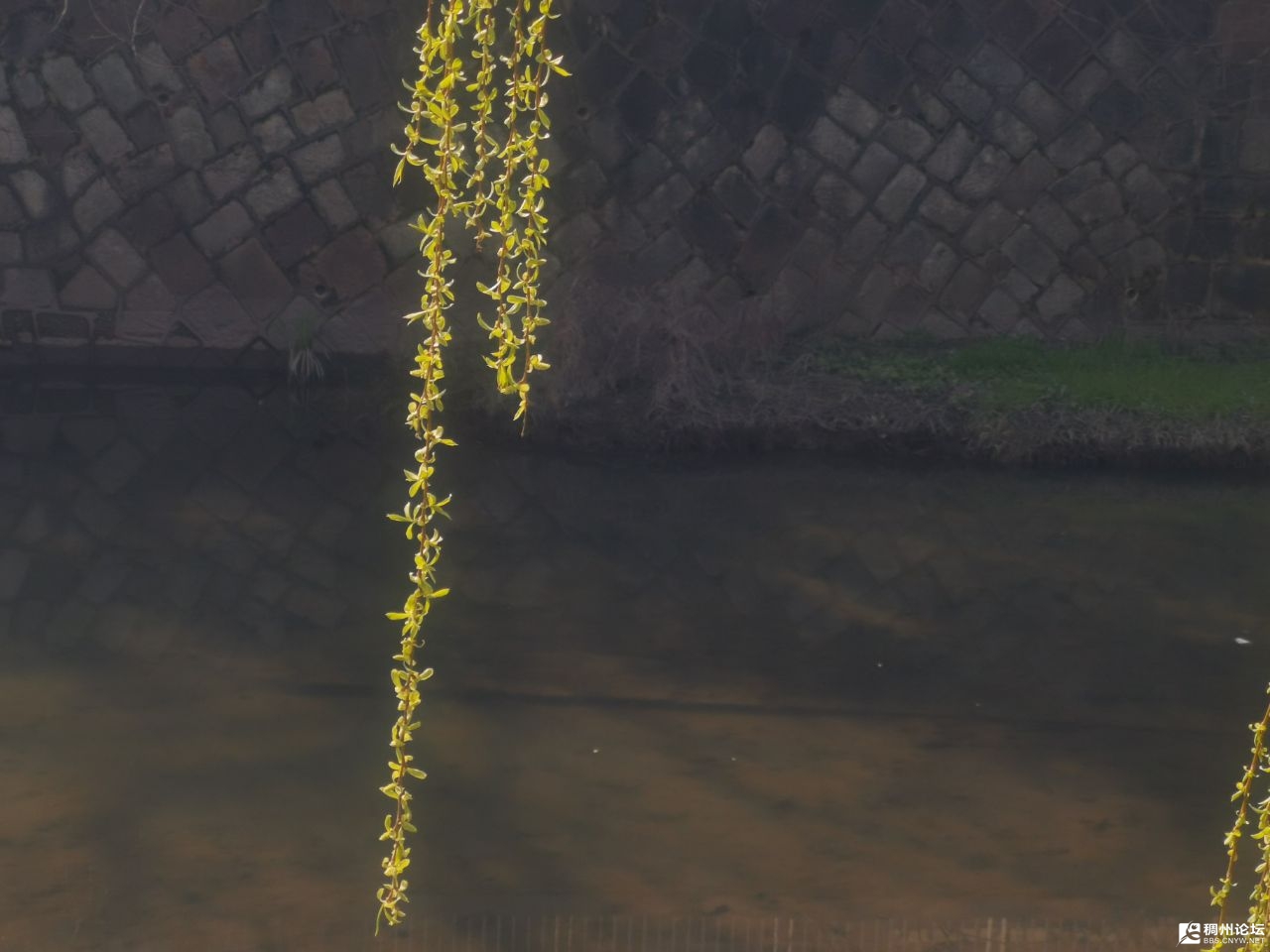 20230301154637front2_0_826298_Fs1NFXF_epsw6XKcu69ihdb_yZw2.jpg