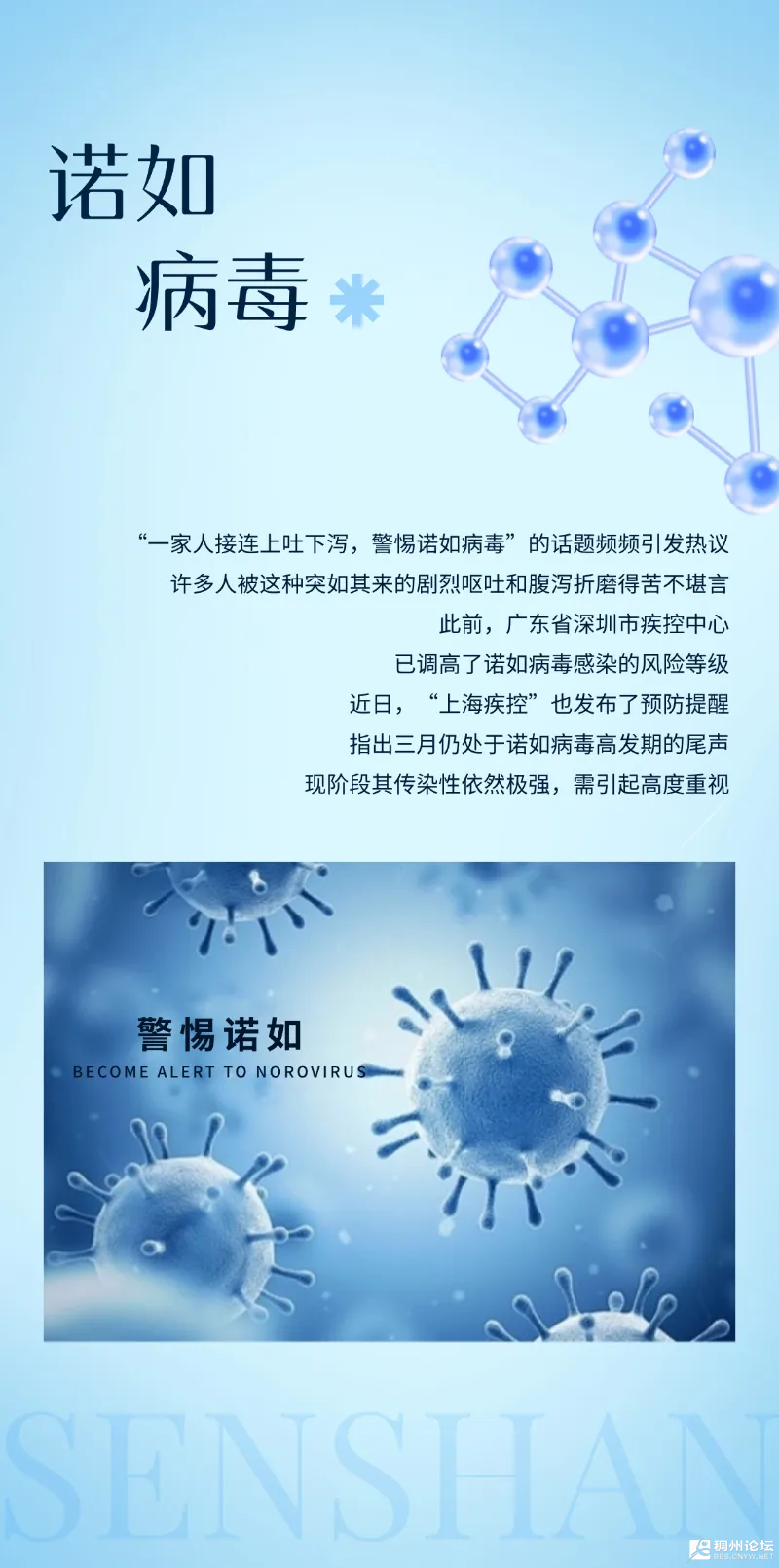 mmexport1740731775176.png