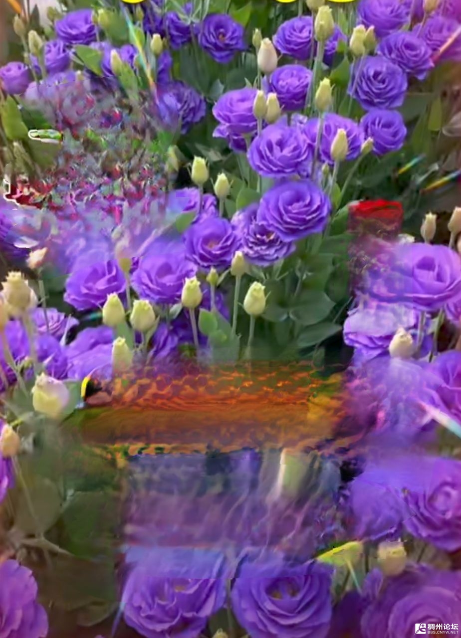 20250302071201front2_0_691611_FjDwGdPzhZ2ctcQiK6vfzvIvDFc6.jpg