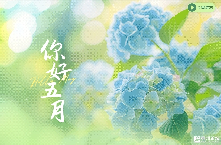 ΢Žͼ_20250513092152.png