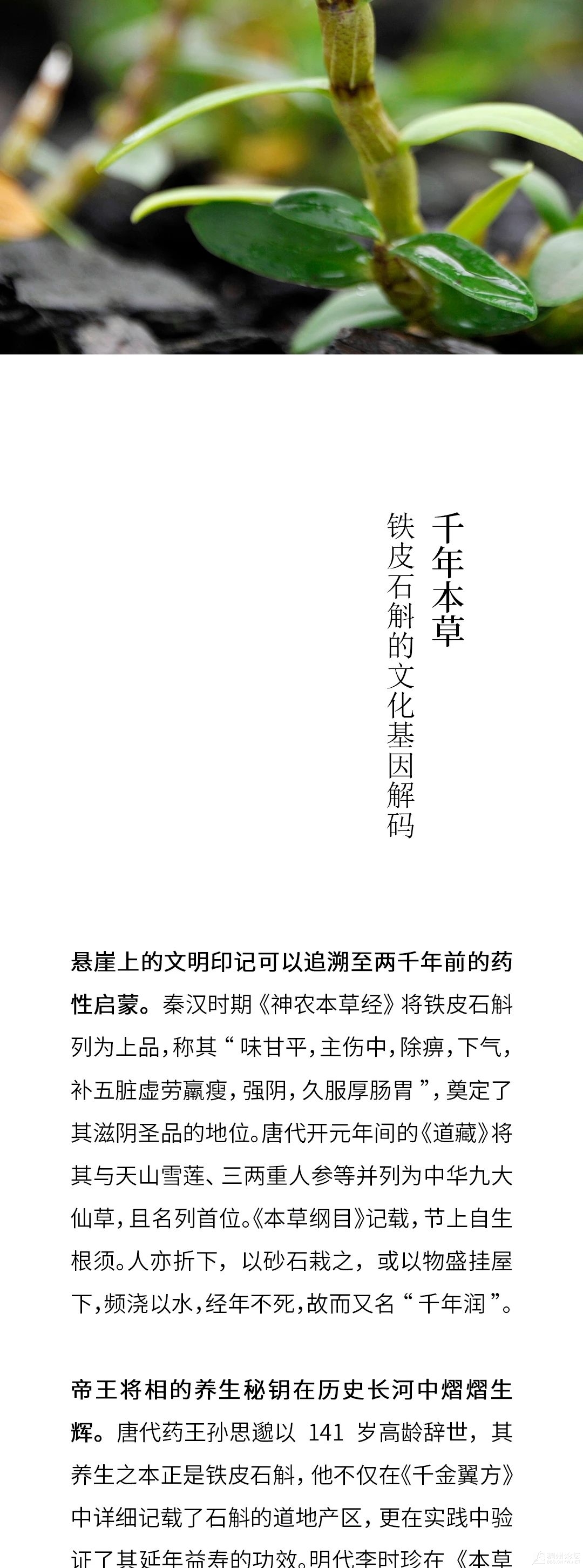 ΢ͼƬ_20250514093932.jpg