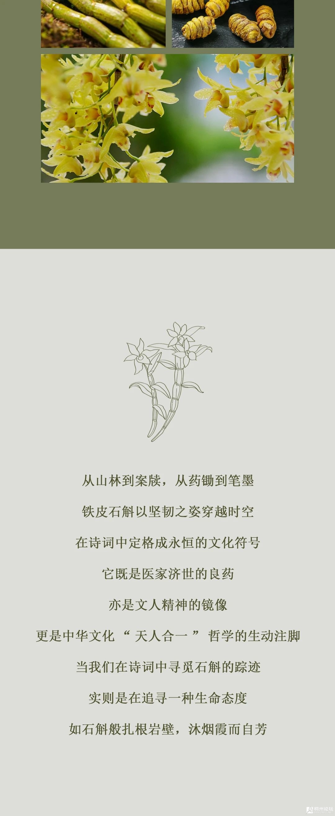 ΢ͼƬ_20250618205421.jpg
