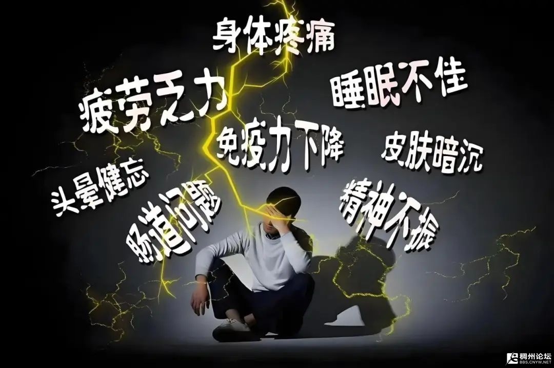 ΢ͼƬ_20250624100802.jpg