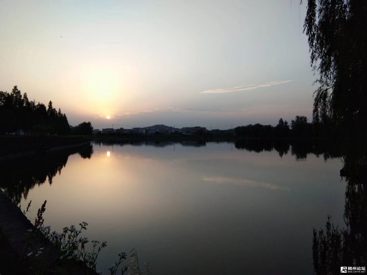 20250712202336front2_0_1016658_FresF9B40XW2VZFkYi63ffu63o40.jpg