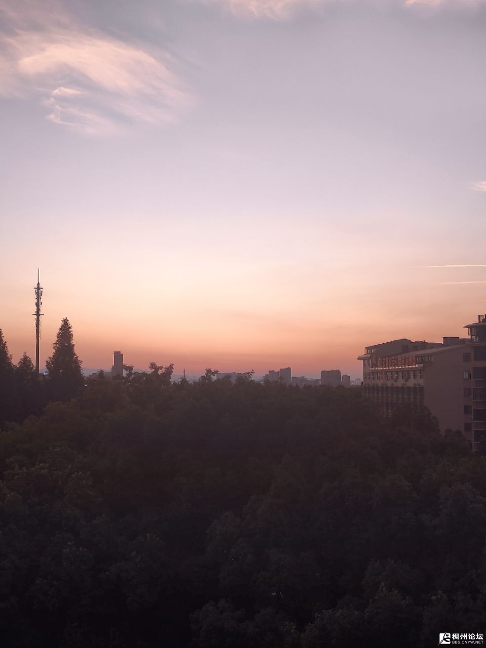 20250712224051front2_0_701856_FmBJ9Bkatnp3iqDxGGrTDr9D7GYV.jpg