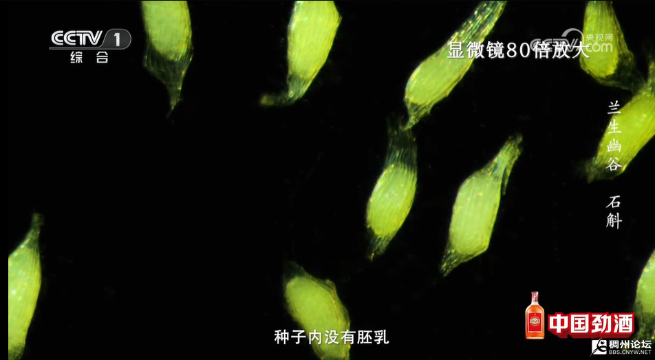 ΢ͼƬ_2025-07-16_092607_698.png