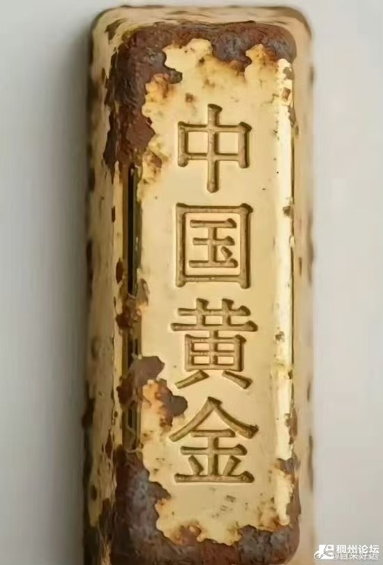 913051006.jpg