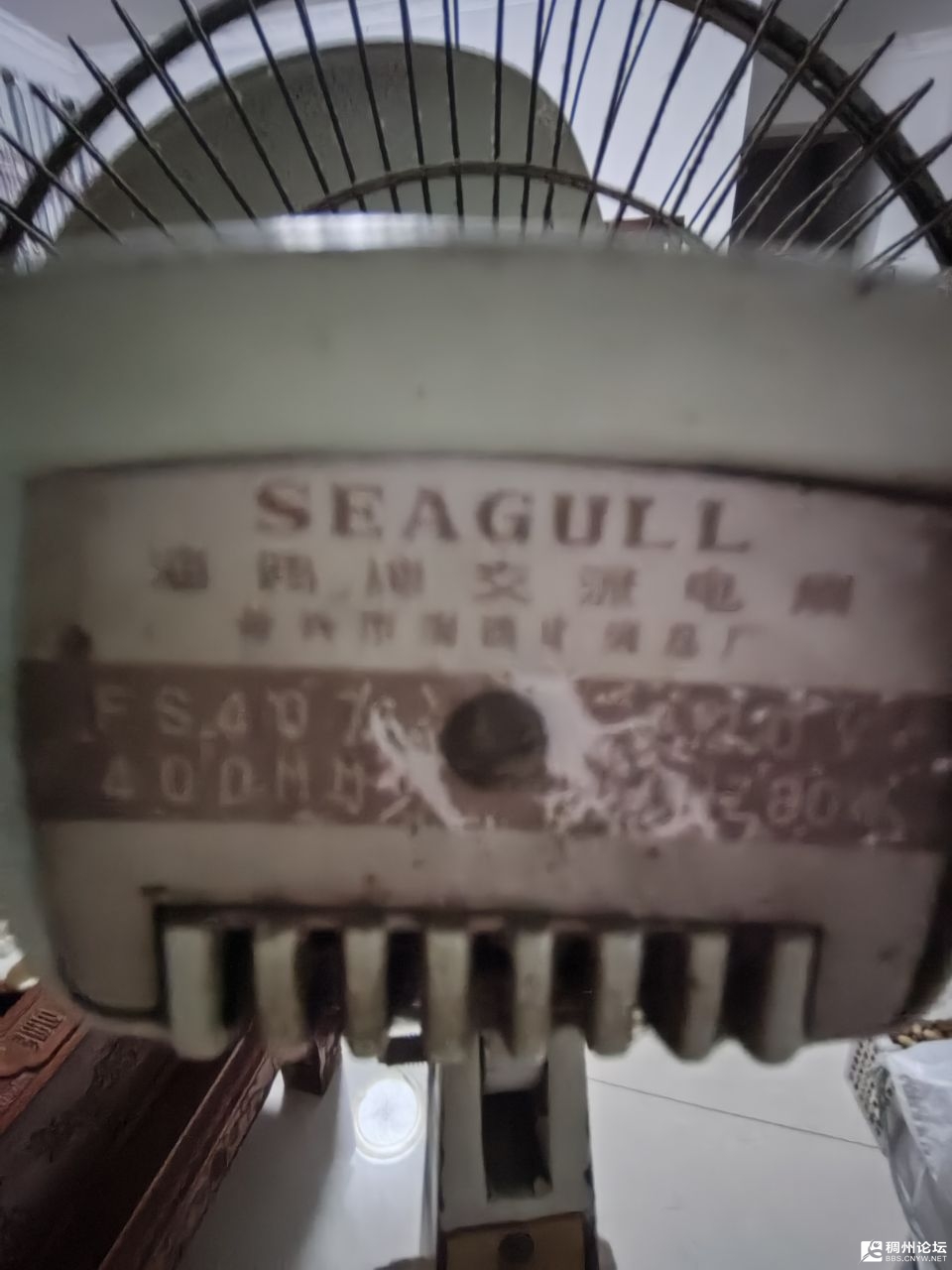 20250816204806front2_0_998970_FmUV0iizYHut0jiAuJ0Gei5VRQ2N.jpg
