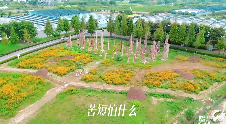 wechat_2025-08-17_093223_637.png