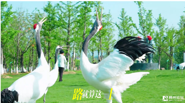 wechat_2025-08-17_093306_029.png