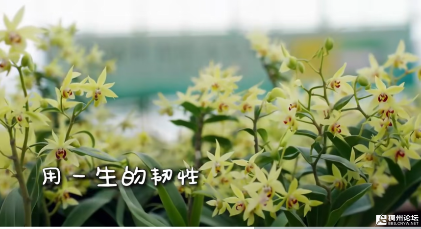 wechat_2025-08-28_163321_018.png