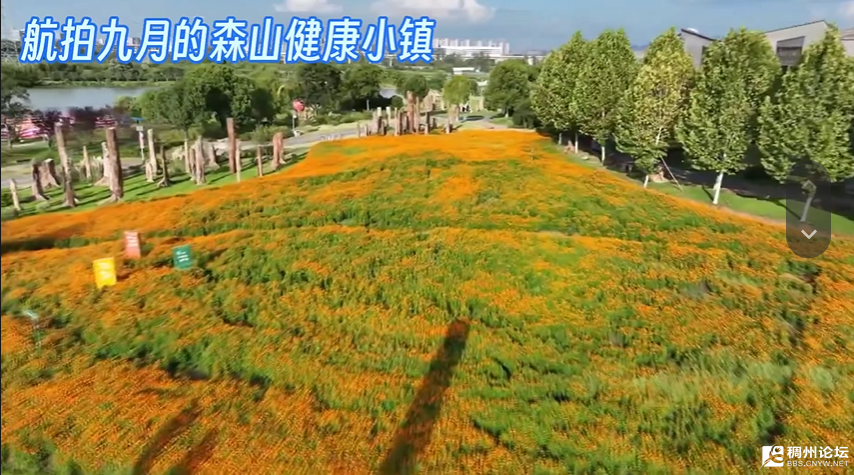 wechat_2025-09-14_085958_832.png