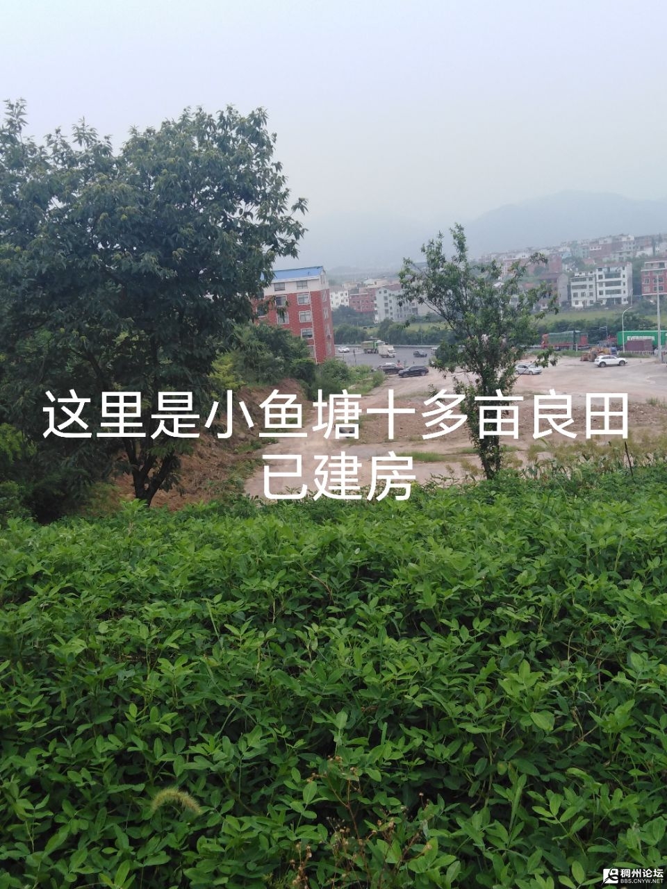 20250917221956front2_0_1066650_FkqRT4ZO5oaAnVVVBSJXoYyrpbox.jpg
