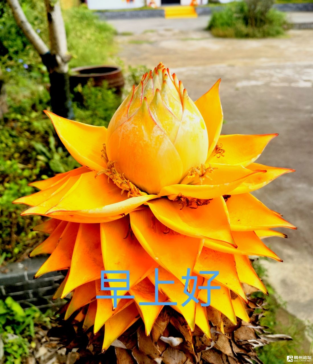 20250921073048front2_0_802797_Frz9uNaJFspAOTwvYiXaZgmqQnVC.jpg