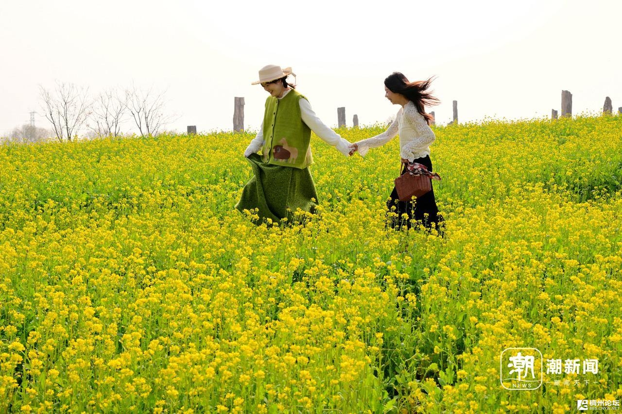 ΢��ͼƬ_2026-02-08_161030_682.jpg