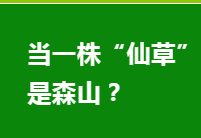 ScreenShot_2026-04-01_090311_738.png