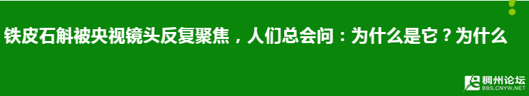 ScreenShot_2026-04-01_090245_683.png