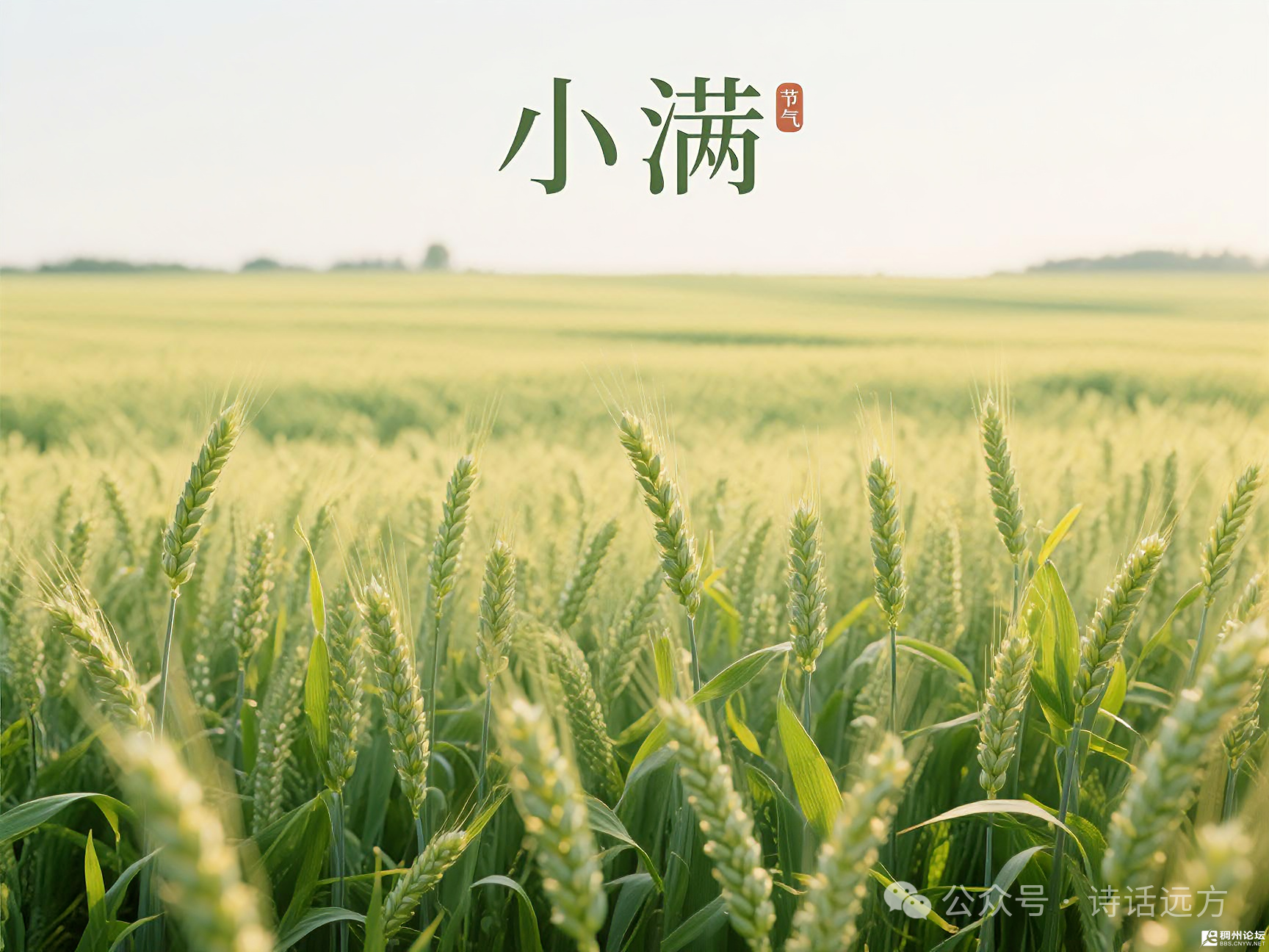΢��ͼƬ_2026-05-20_092204_972.png