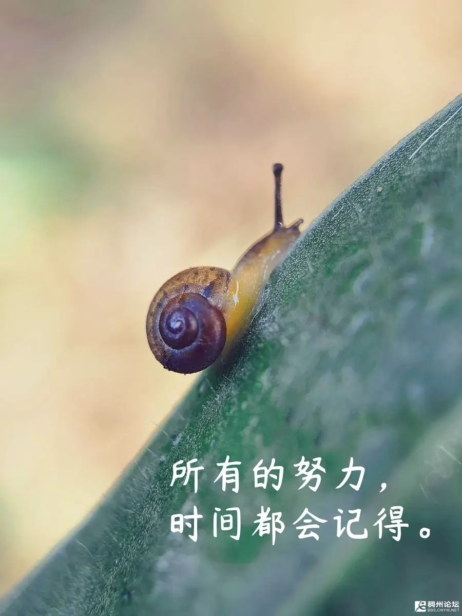 ΢��ͼƬ_20260528110616_697_1.jpg